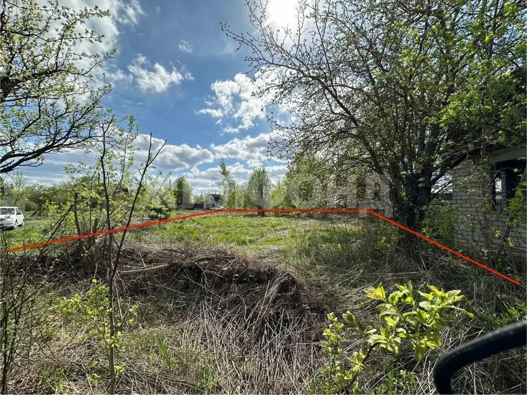 Участок в село Толмачево, СДТ Калинка (11 м) - Фото 1