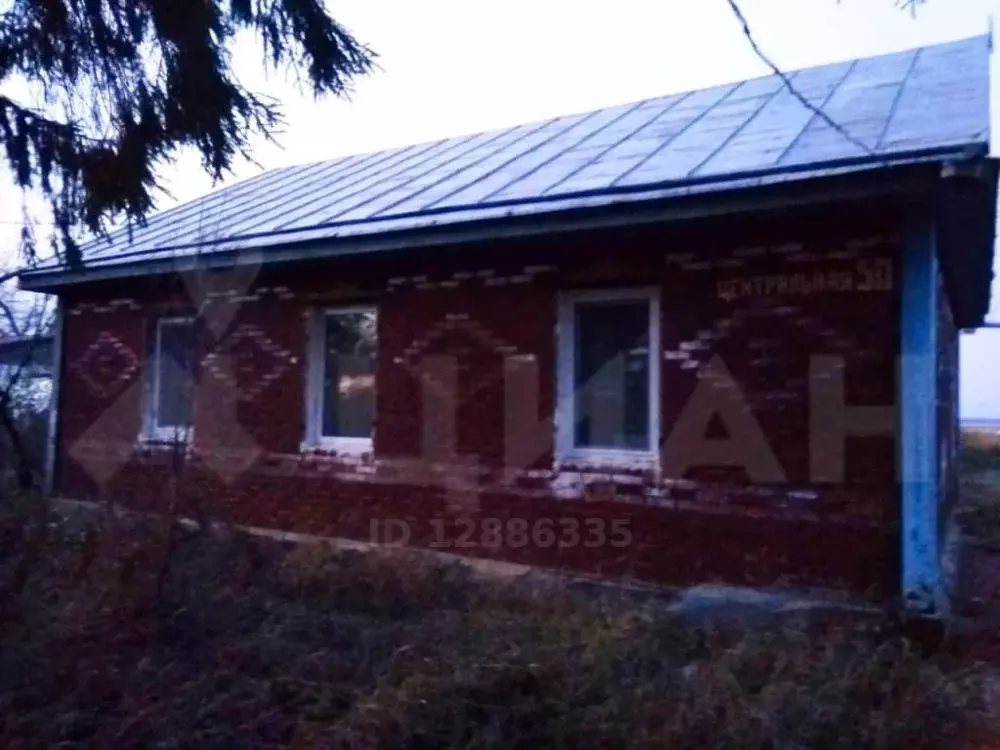 Д корнеевка. Омская область, деревня корнеевка. Д корнеевка. Д корнеевка. Корнеевка салават.