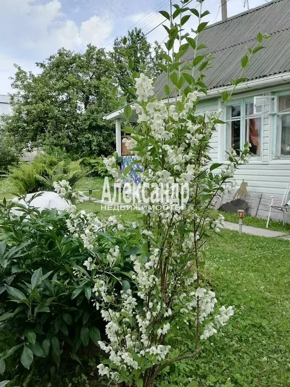 Дом 27,4 м на участке 6 сот. - Фото 0