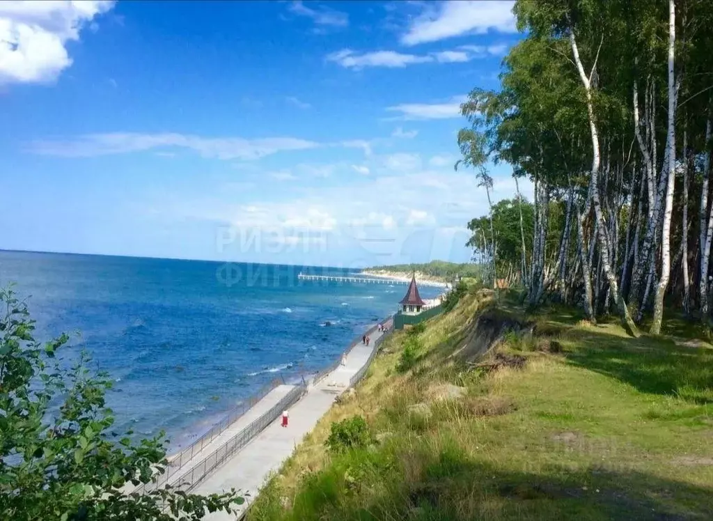 1-к кв. Калининградская область, Пионерский Рабочая ул., 48 (27.0 м) - Фото 1
