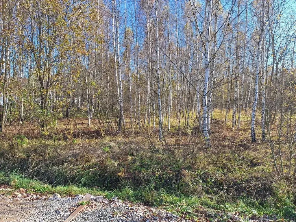 Участок в Московская область, Чехов городской округ, д. Алексеевка ул. ... - Фото 1