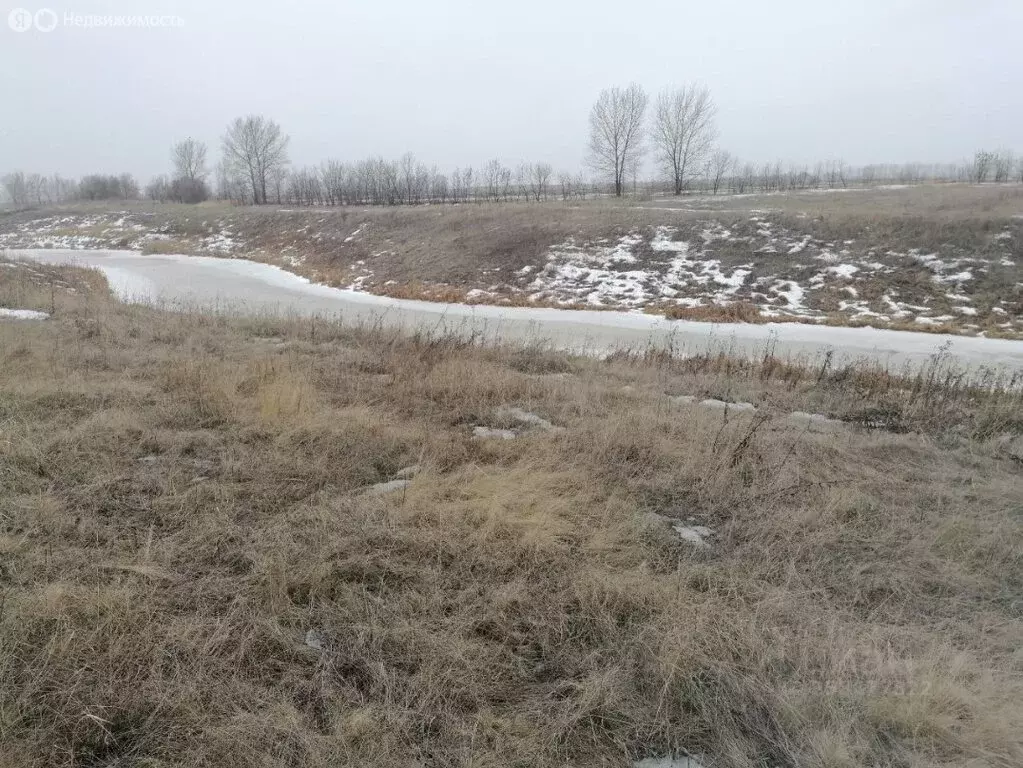 Участок в Верхнехавский район, Правохавское сельское поселение (11 м) - Фото 1