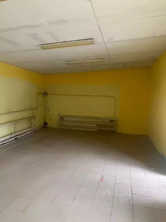 Торговая площадь в Новосибирская область, Новосибирск Ученическая ул., ... - Фото 1