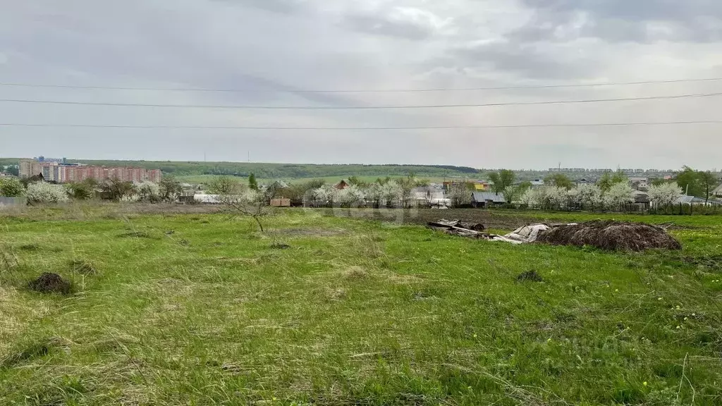 Участок в Мордовия, Лямбирский район, с. Берсеневка ул. Дружбы, 2 ... - Фото 1