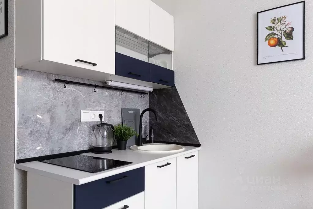 1-к кв. Новосибирская область, Новосибирск ул. Кирова, 113/2 (25.0 м) - Фото 2