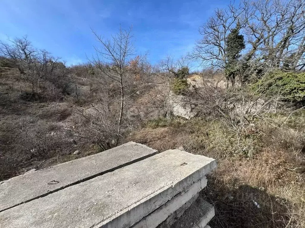 Участок в Крым, Алушта городской округ, с. Малый Маяк ул. Виноградная ... - Фото 1