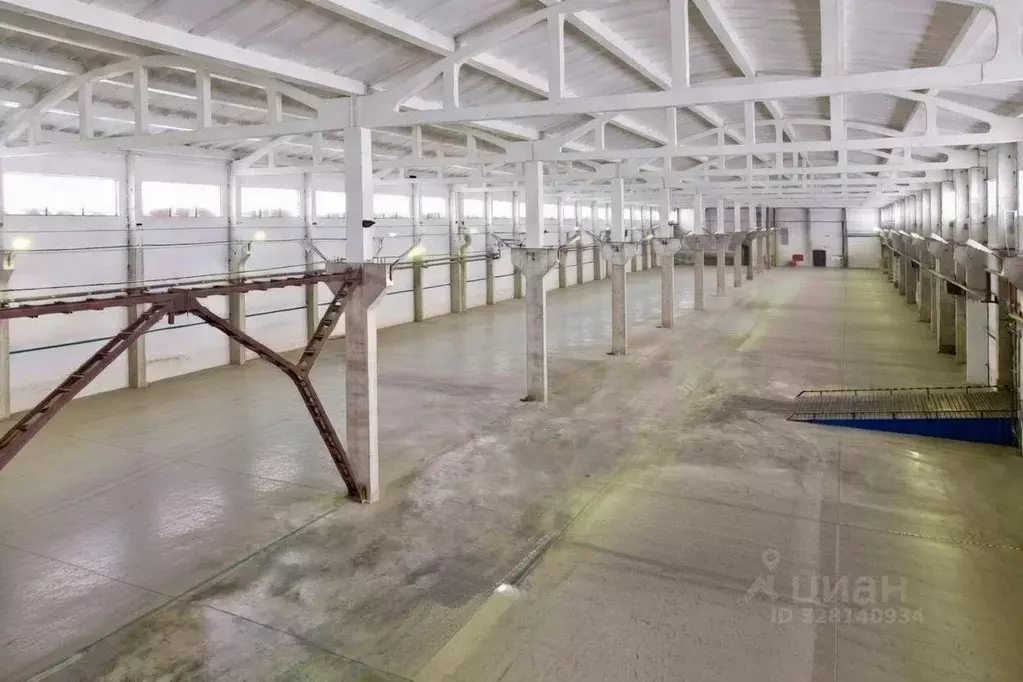 Склад в Новосибирская область, Новосибирск Станционная ул., 60/1к14 ... - Фото 2