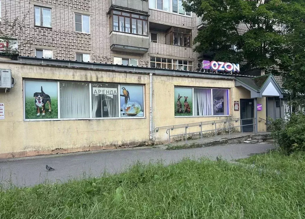 Помещение свободного назначения в Новгородская область, Великий ... - Фото 2