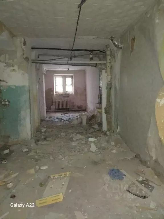 Помещение свободного назначения в Челябинская область, Челябинск ул. ... - Фото 1