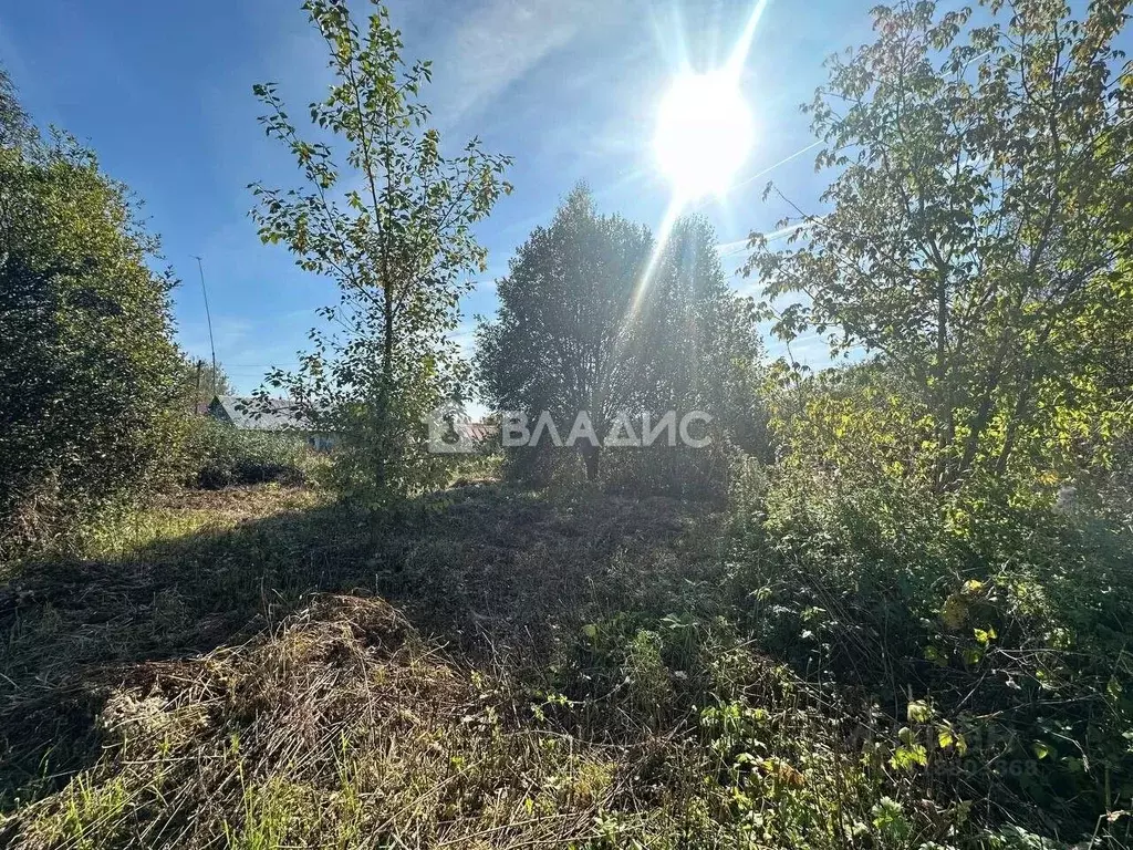 Участок в Нижегородская область, Нижний Новгород с. Безводное,  (4.0 ... - Фото 1