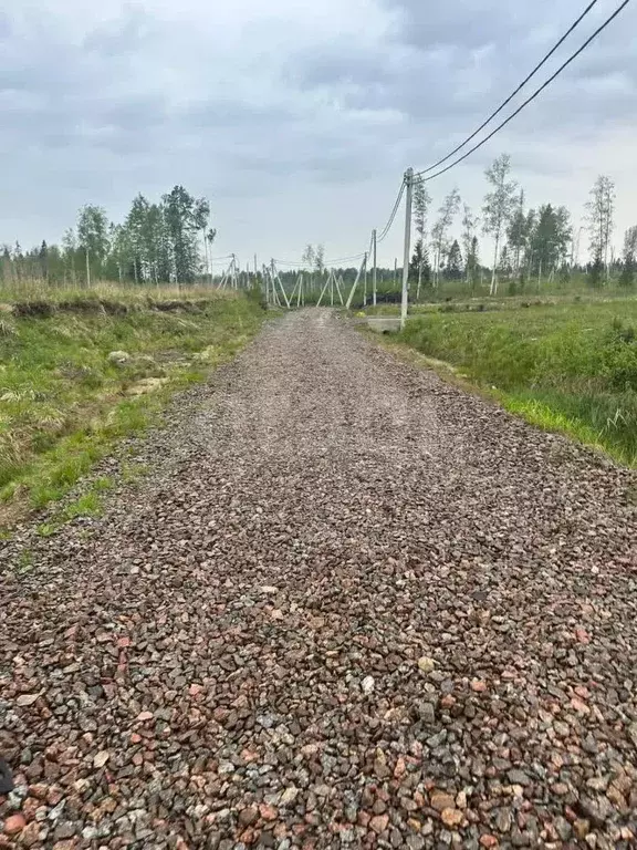 Участок в Ленинградская область, Всеволожский район, Агалатовское ... - Фото 0