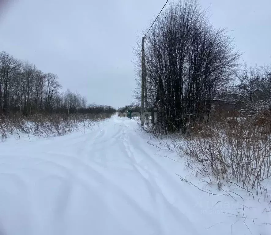 Участок в Владимирская область, Муром с. Ковардицы,  (5.0 сот.) - Фото 1