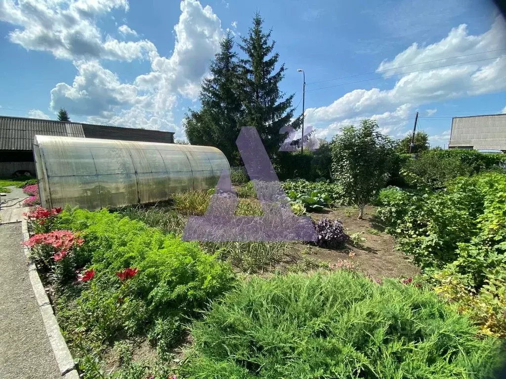 Дом в Алтайский край, Первомайский район, пос. Сибирский Солнечная ... - Фото 1