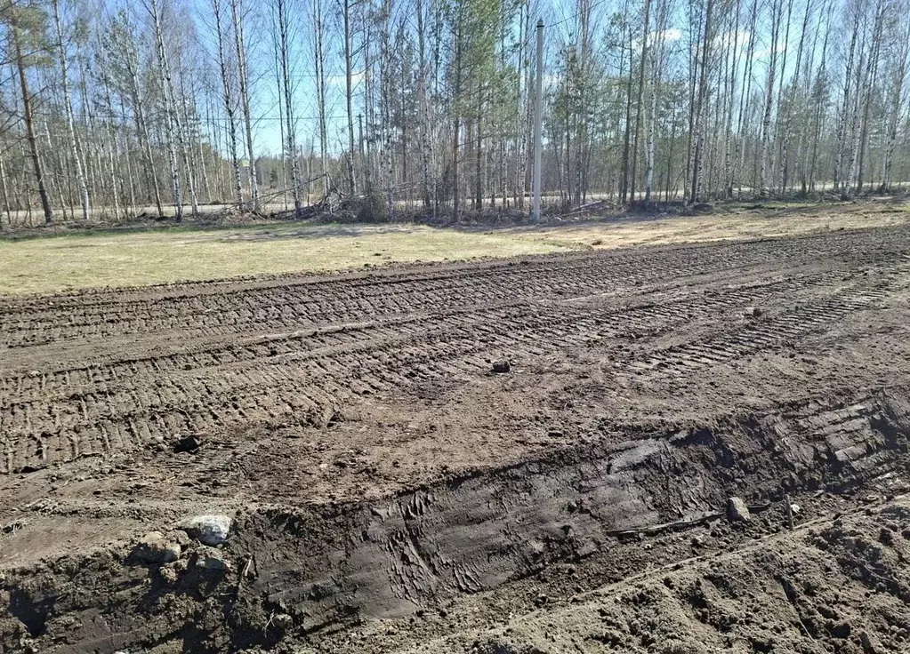 Участок в Ленинградская область, Всеволожское городское поселение, ... - Фото 1