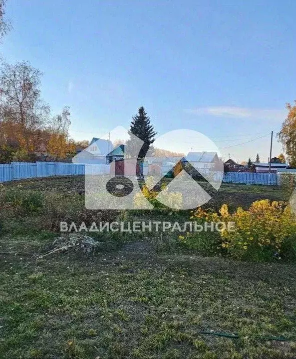 Участок в Новосибирская область, Искитимский район, Березка садовое ... - Фото 1