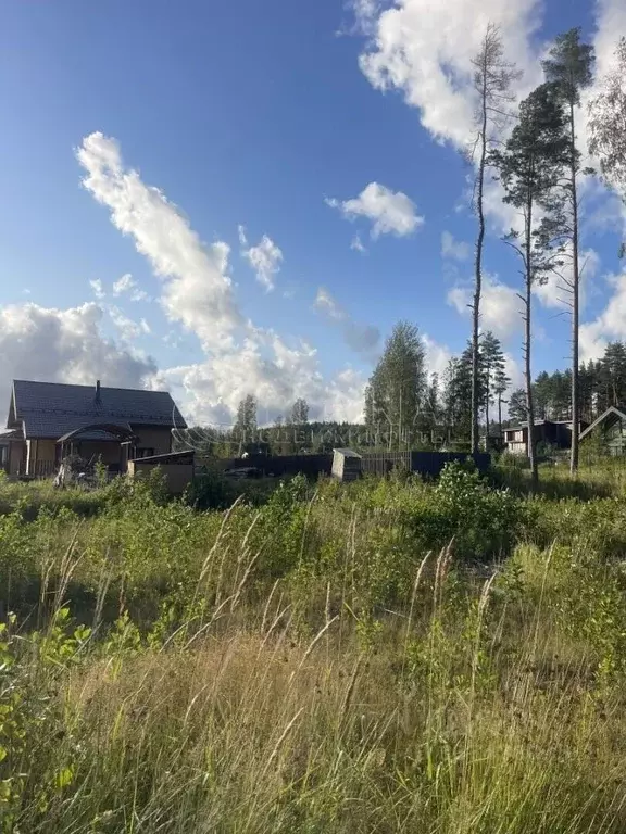 Участок в Ленинградская область, Выборгский район, Полянское с/пос, ... - Фото 2