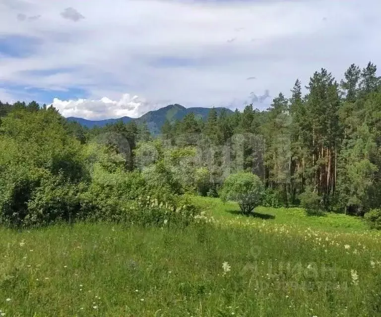Участок в Алтай, Чемальский район, пос. Усть-Сема  (4900.0 сот.) - Фото 1