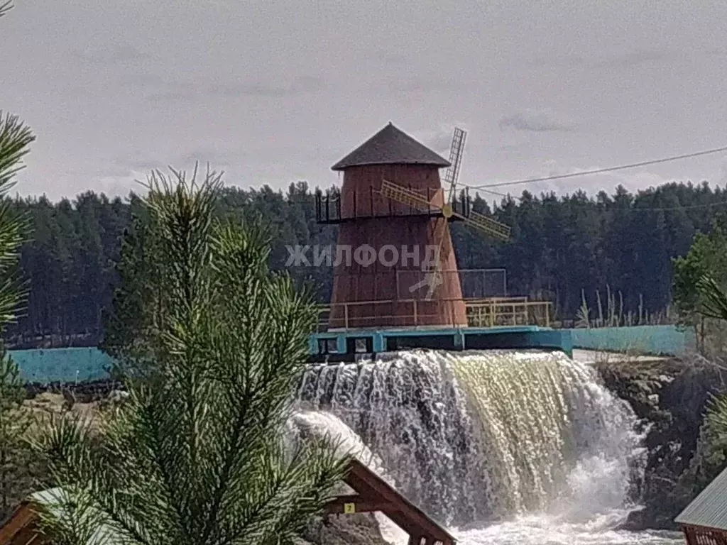 Участок в Новосибирская область, Тогучинский район, с. Карпысак ул. ... - Фото 1