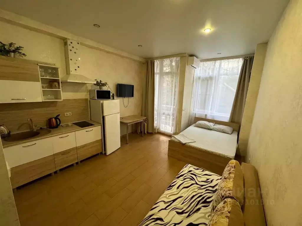 Студия Краснодарский край, Сочи ул. Просвещения, 118/1 (27.0 м) - Фото 1