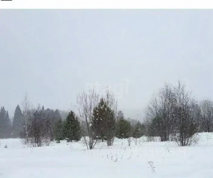 Участок в Пермский край, Пермский муниципальный округ, д. Большакино ... - Фото 2