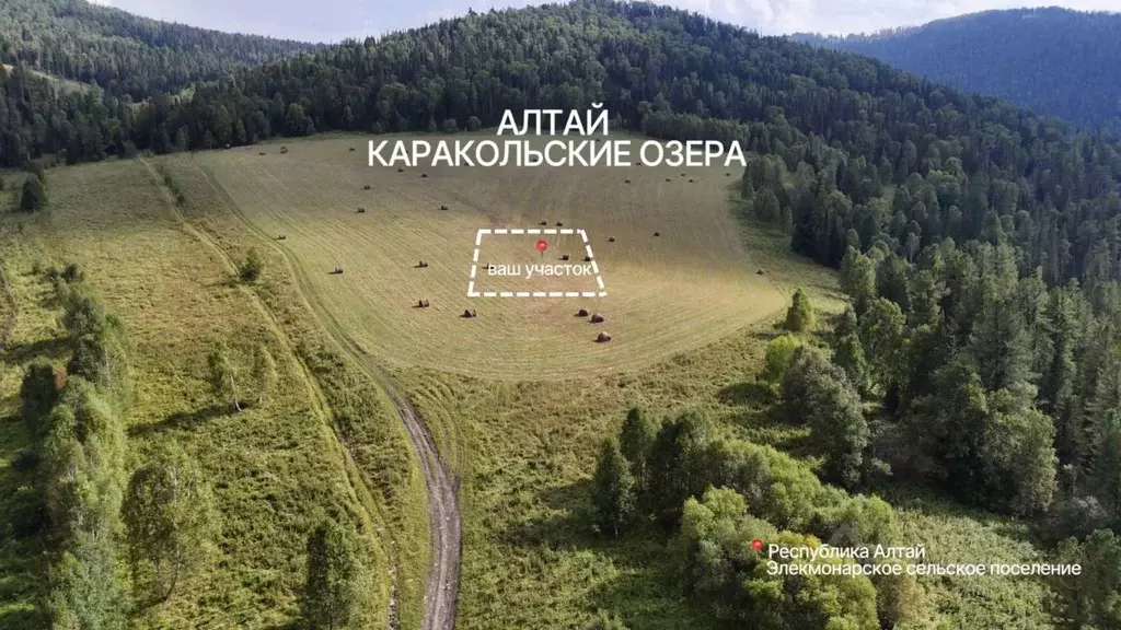 Участок в Алтай, Чемальский район, Элекмонарское с/пос, Седьмое Небо ... - Фото 1