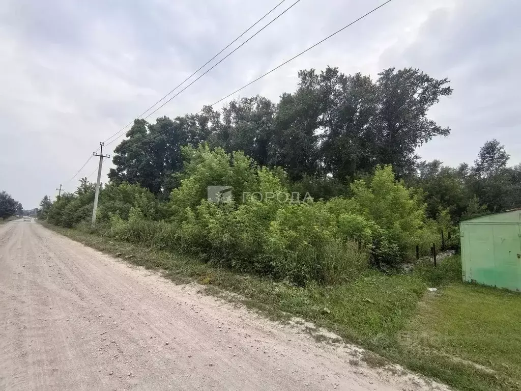 Участок в Новосибирская область, Колывань рп ул. Заводская (7.3 сот.) - Фото 1