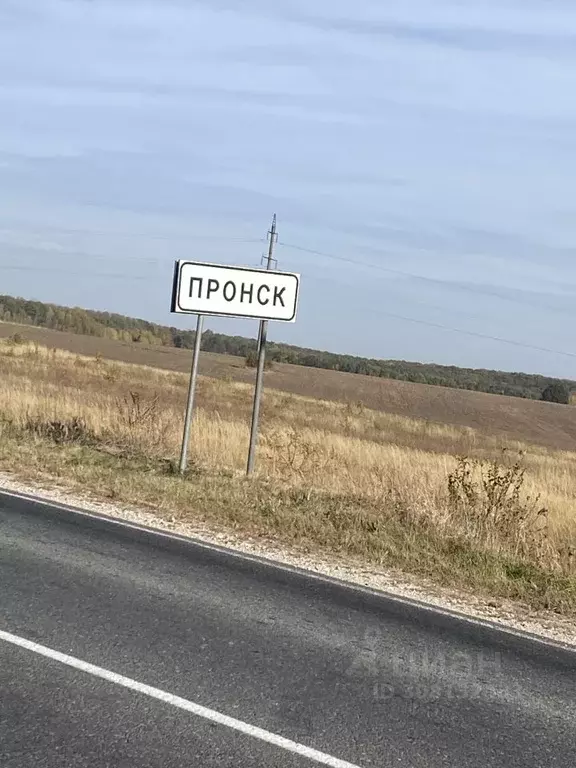 Дом в Рязанская область, Пронский муниципальный округ, с. Большое  (53 ... - Фото 2