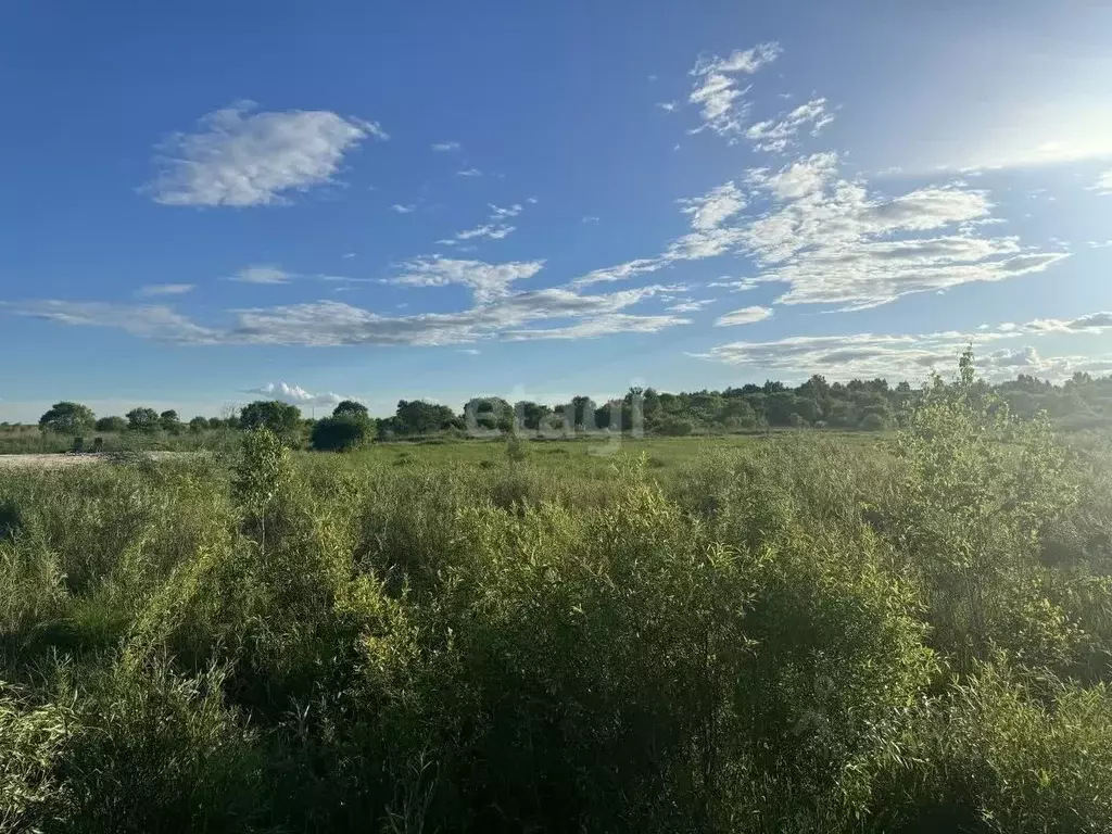 Участок в Амурская область, Благовещенск  (15.0 сот.) - Фото 0