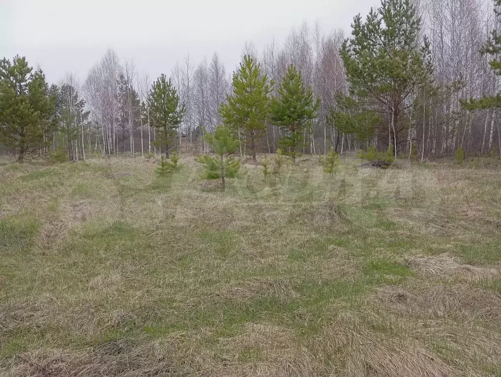 Участок 10 сот. (ИЖС) - Фото 1