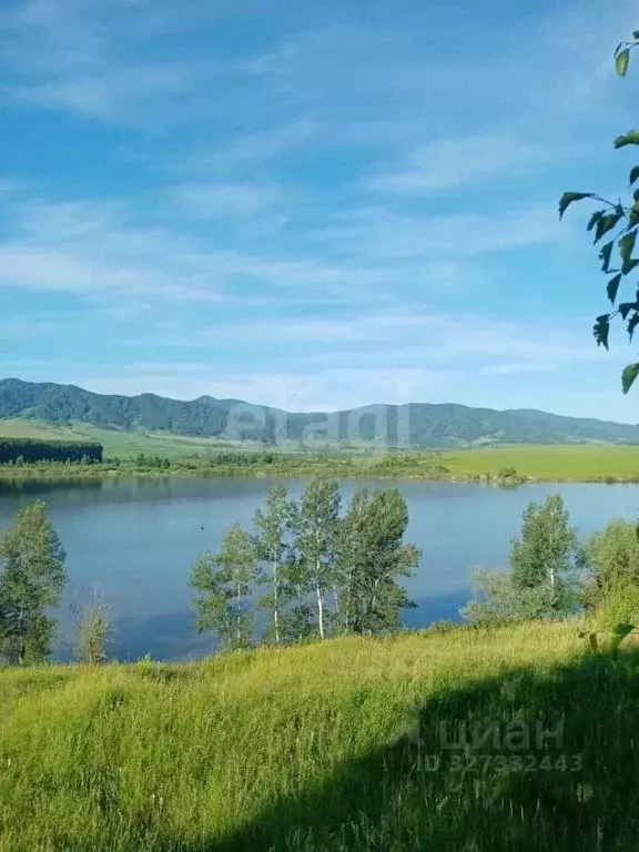 Участок в Алтайский край, Алтайский район, с. Алтайское  (20.0 сот.) - Фото 1