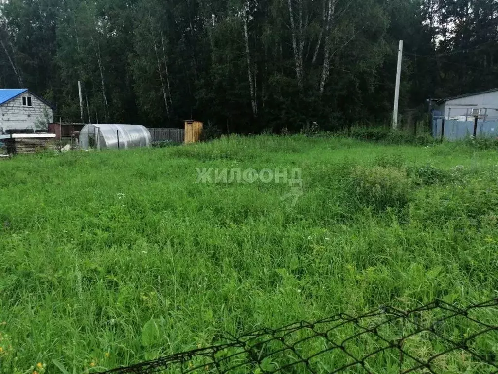 Участок в Новосибирская область, Новосибирск Ветеран СНТ, ул. Логовая ... - Фото 0