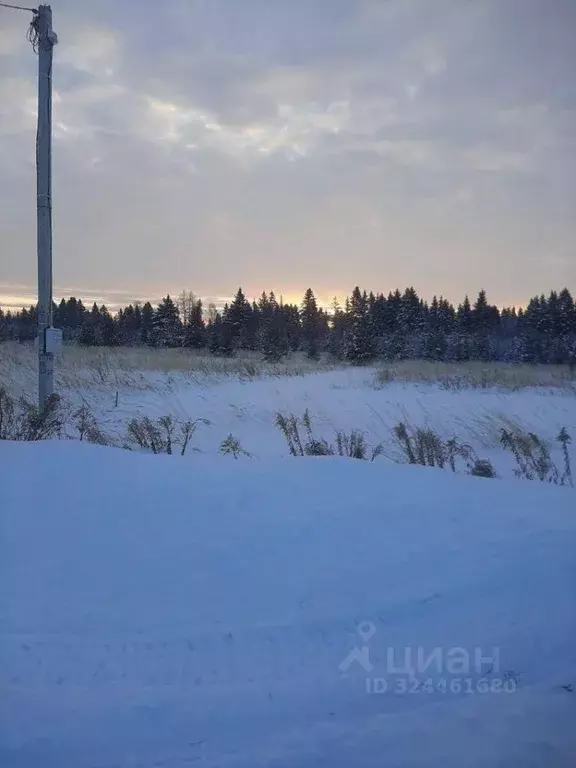 Участок в Удмуртия, Завьяловский район, д. Сизево ул. Дивная Горка, 38 ... - Фото 1