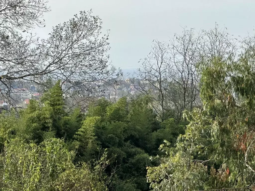 Участок в Краснодарский край, Сочи городской округ, с. Черешня  (4.0 ... - Фото 2