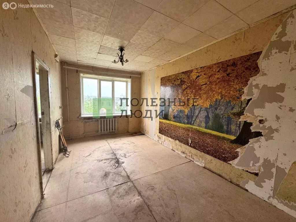 1-комнатная квартира: Орёл, Московская улица, 106 (25.4 м) - Фото 0