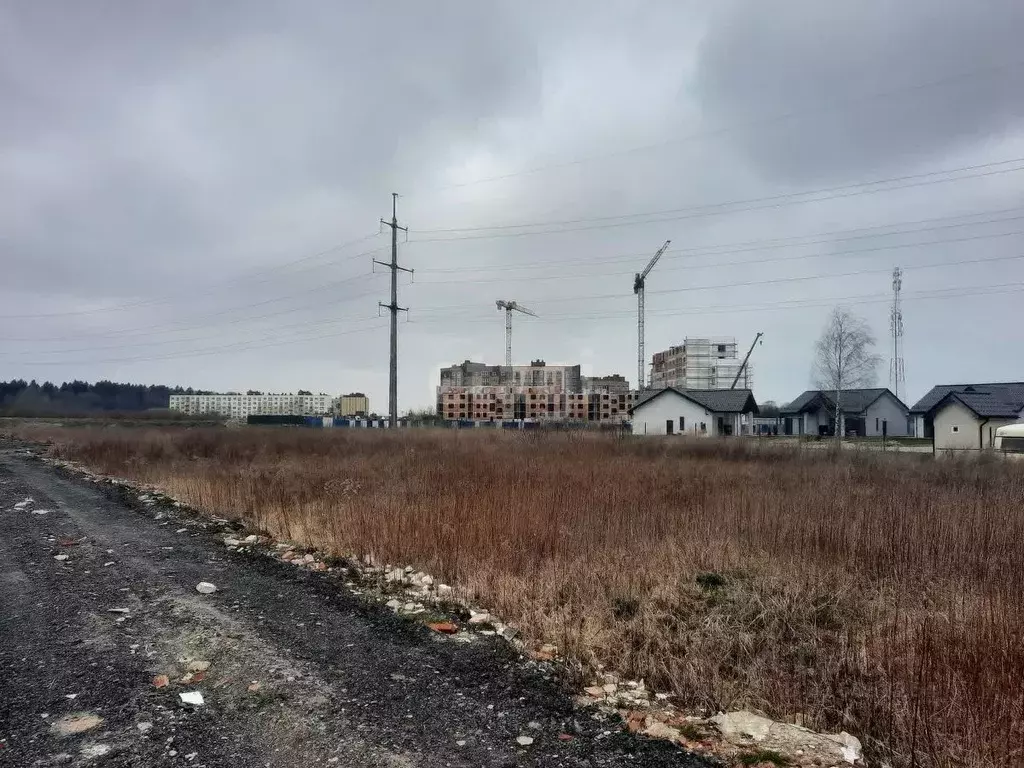 Участок в Калининградская область, Зеленоградск ул. Василия Чернова ... - Фото 0