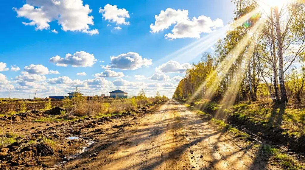 Участок в Пензенская область, Мокшанский район, Рамзайский сельсовет, ... - Фото 1