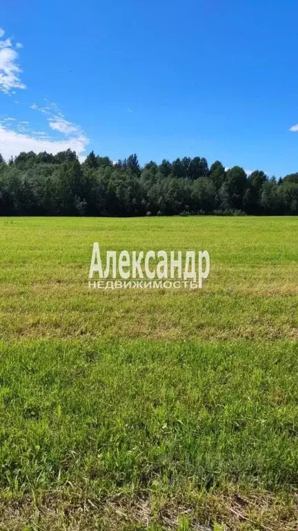 Участок в Ленинградская область, Приозерский район, Плодовское с/пос, ... - Фото 1