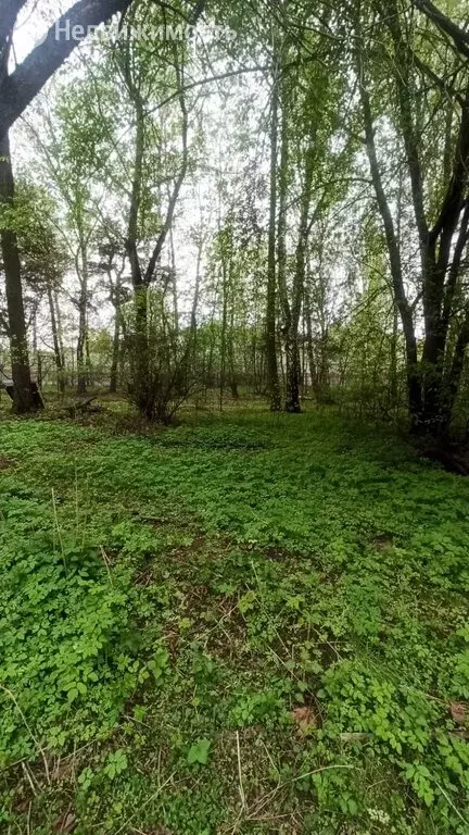 Участок в Балашиха, микрорайон Кучино, улица Молодой Ленинец, 1а (30 . - Фото 1