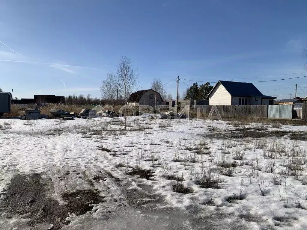 Участок в Тюменская область, Тюмень СОСН Березка-3 тер.,  (10.1 сот.) - Фото 1