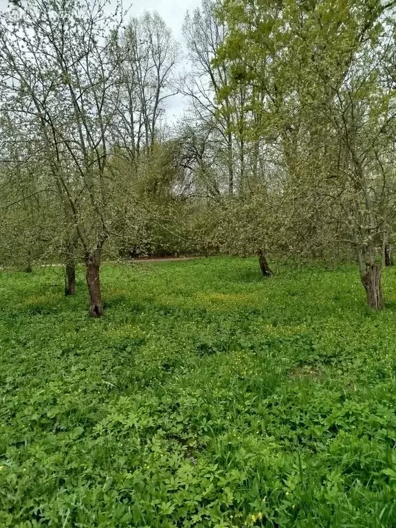 Дом в Псковский район, Карамышевская волость, деревня Шевелево (33 м) - Фото 1