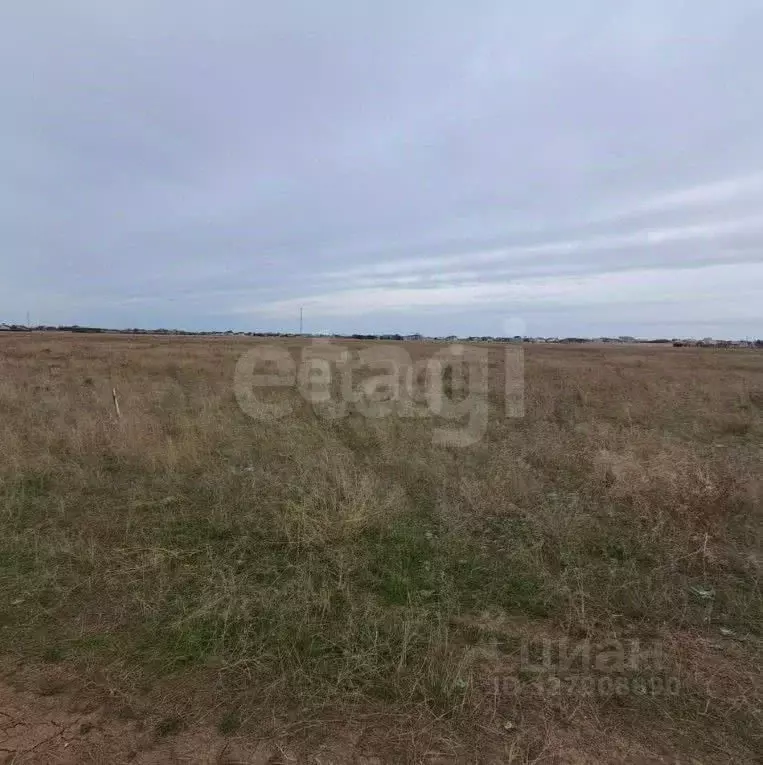 Участок в Крым, Сакский район, Молочненское с/пос, с. Витино  (9.05 ... - Фото 1