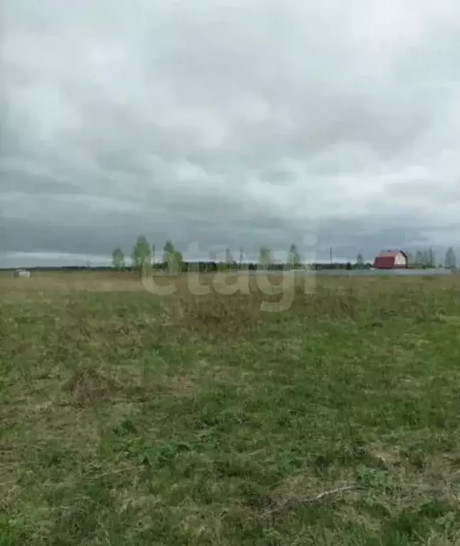 Участок в Пермский край, Пермский муниципальный округ, Берег-2 СНТ  ... - Фото 1