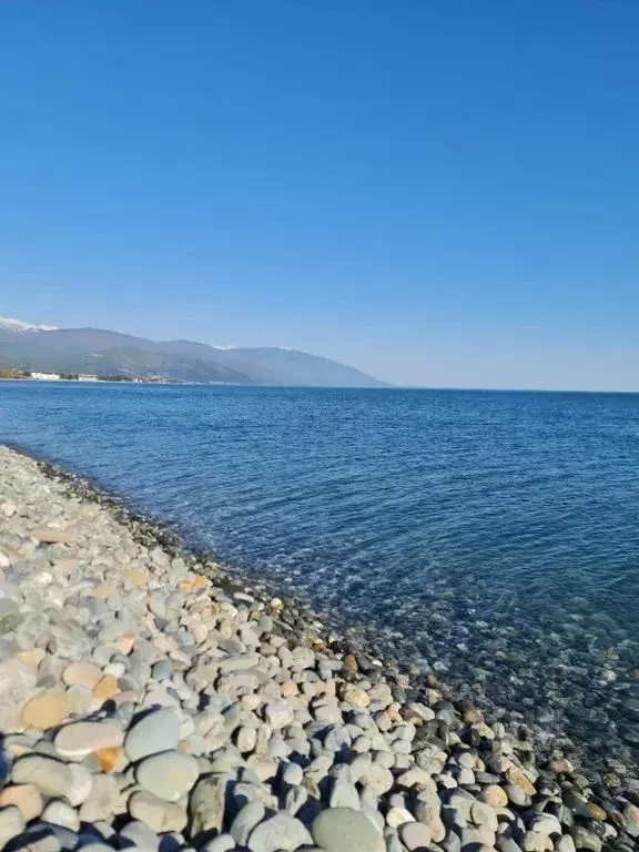 3-к кв. Краснодарский край, Сочи ул. Худякова, 7к3 (70.0 м) - Фото 1