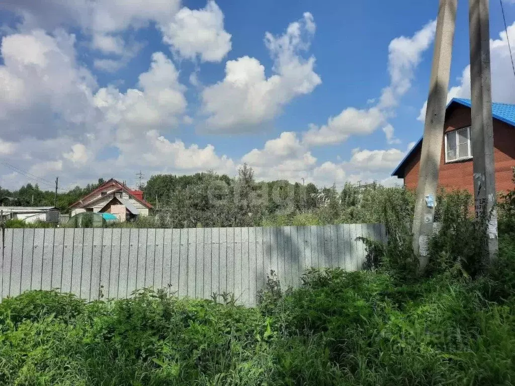 Участок в Новосибирская область, Новосибирский район, Станционный ... - Фото 1
