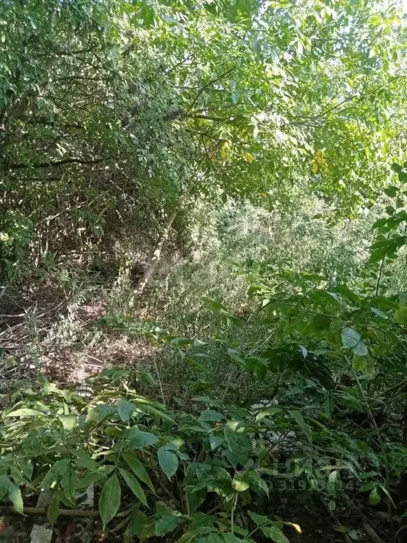 Участок в Ставропольский край, Ставрополь ул. Никитина, 7 (3.5 сот.) - Фото 1
