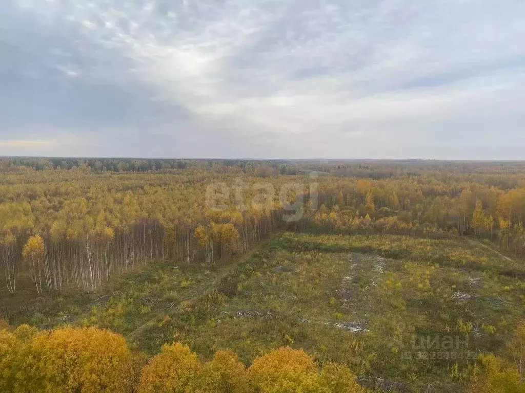 Участок в Костромская область, Кострома Волгореченское ш. (232.0 сот.) - Фото 1