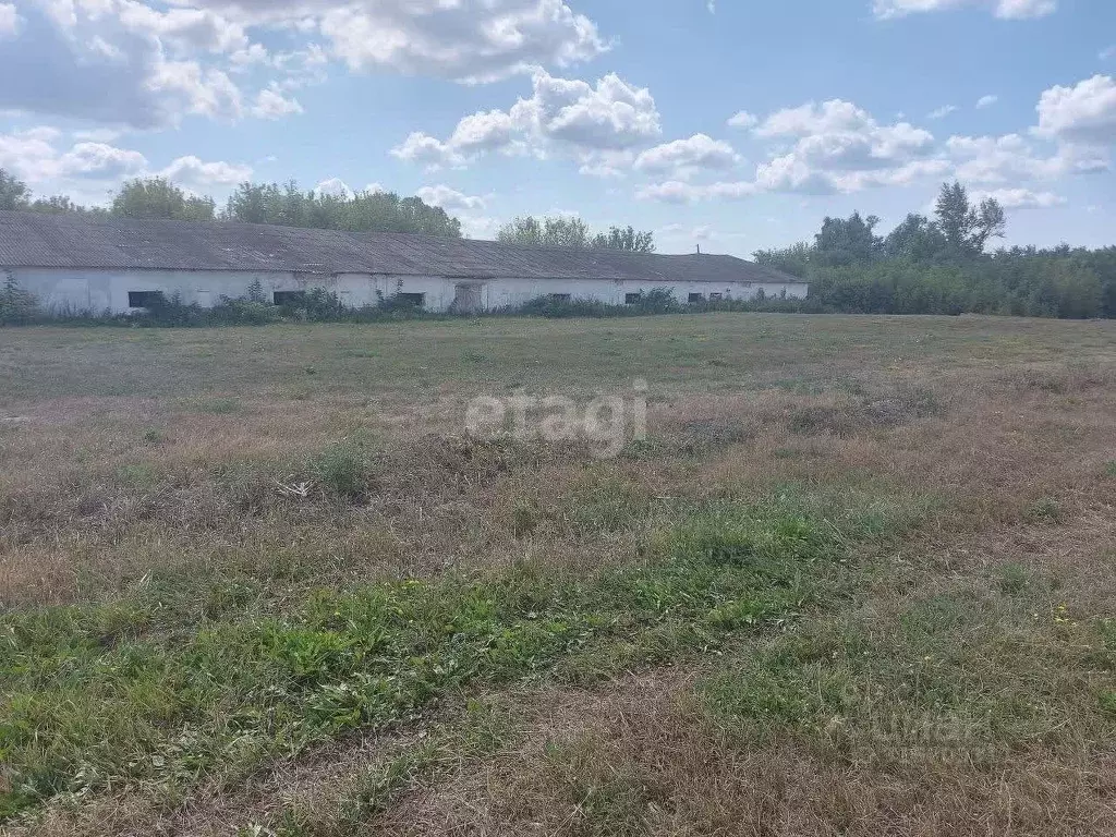 Помещение свободного назначения в Белгородская область, Корочанский ... - Фото 1