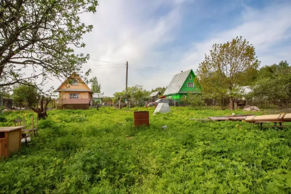 Участок в Вологодская область, Череповецкий район, Ирдоматское с/пос, ... - Фото 1