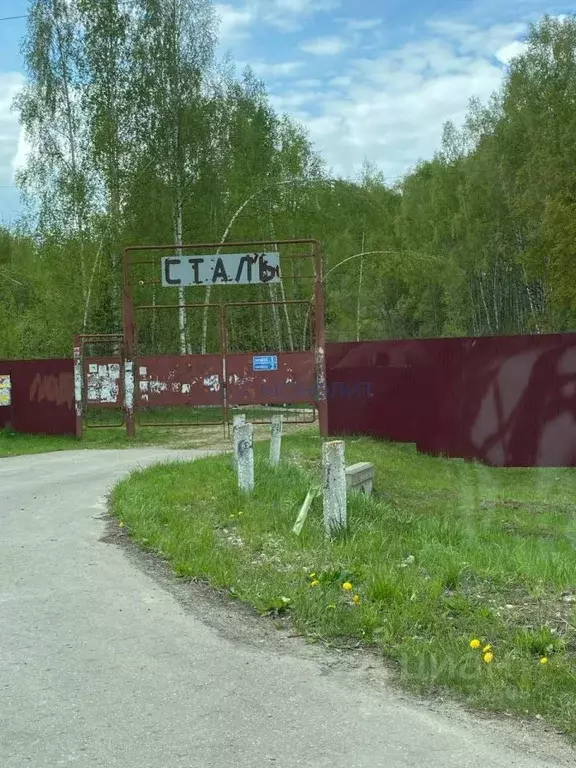 Участок в Нижегородская область, Богородский муниципальный округ, ... - Фото 1