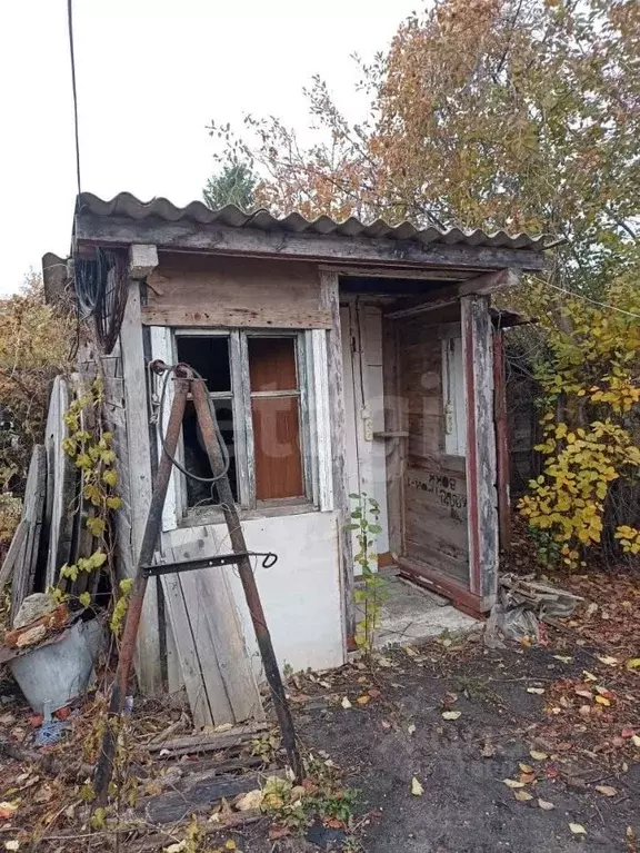 Дом в Саратовская область, Саратов Яблонька-1 СНТ, 16 (37 м) - Фото 1